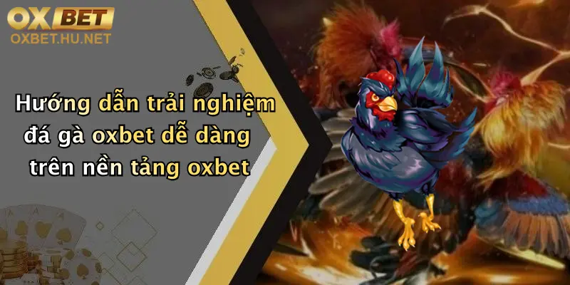 Hướng dẫn trải nghiệm đá gà oxbet dễ dàng trên nền tảng oxbet