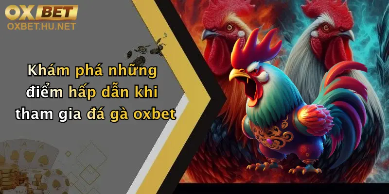 Khám phá những điểm hấp dẫn khi tham gia đá gà oxbet