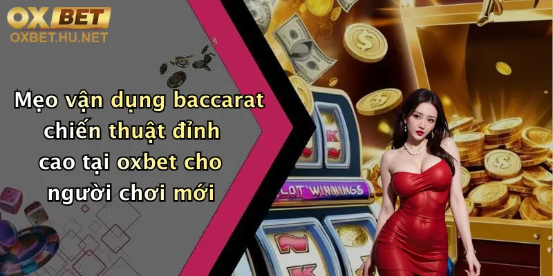 Mẹo vận dụng baccarat chiến thuật đỉnh cao tại oxbet cho người chơi mới
