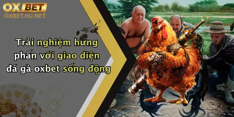 Trải nghiệm hưng phấn với giao diện đá gà oxbet sống động
